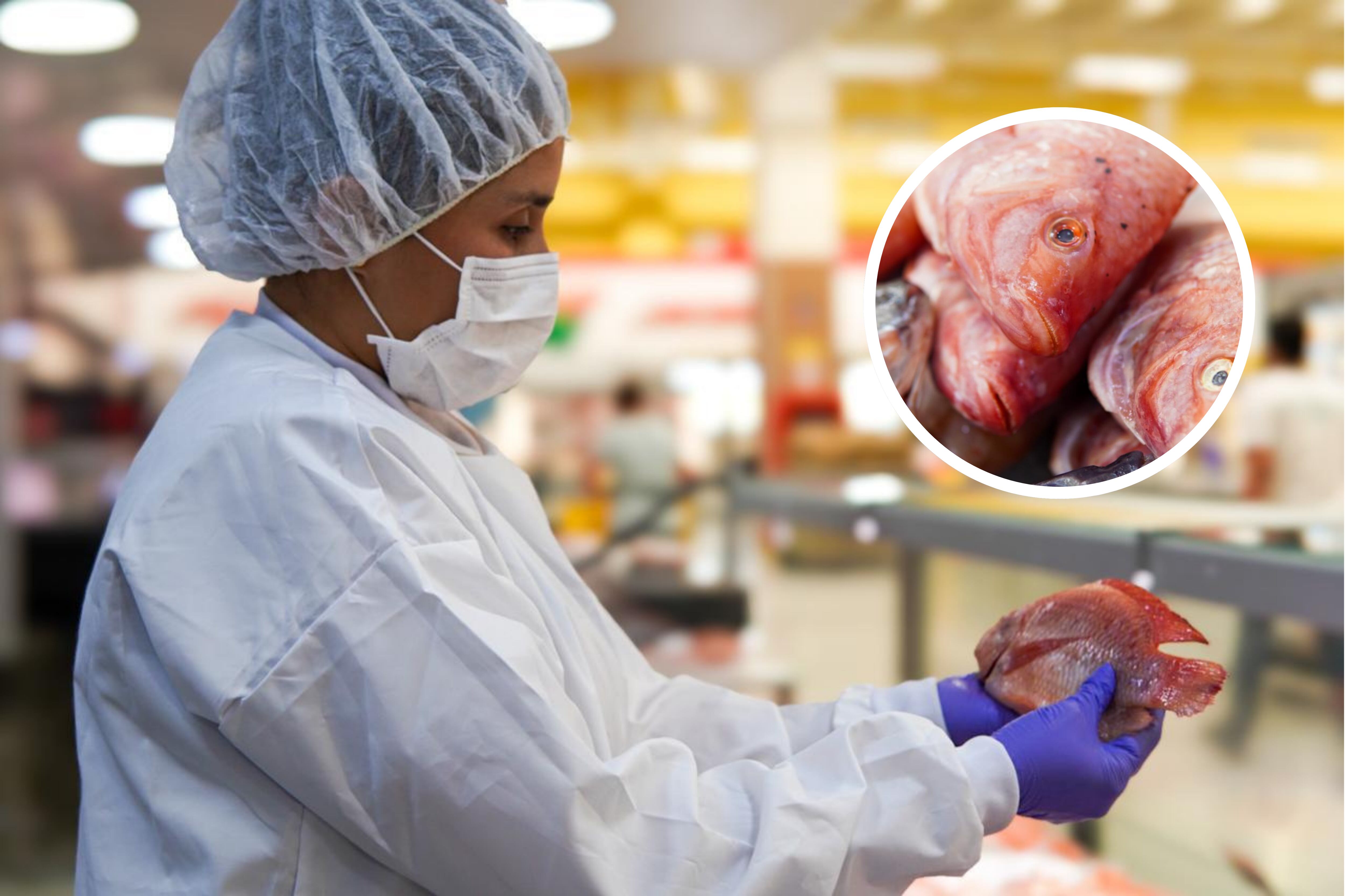 Foto: Alcaldía de Pereira.