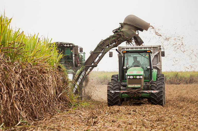 Millonaria sanción golpeará al Valle del Cauca