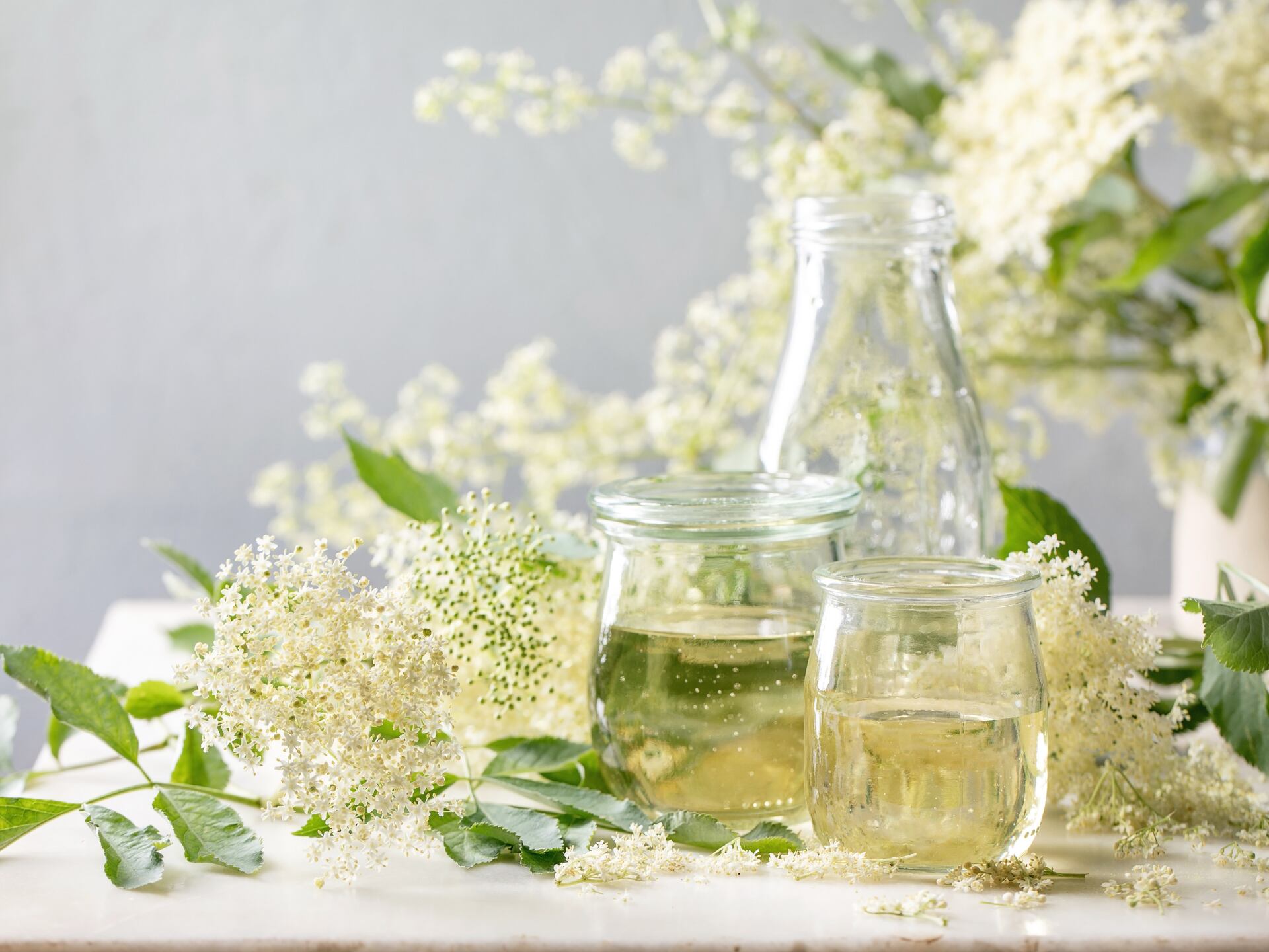 Planta y agua de saúco servida en un vaso (Getty Images)