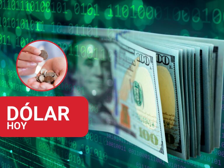 Billetes estadounidenses de 100 dólares y una persona contando monedas (Fotos vía Getty Images)