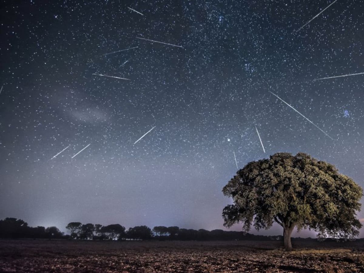 Primera lluvia de estrellas de 2023: cuándo y cómo verla