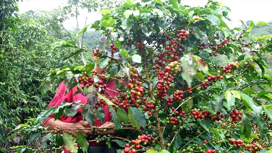 Imagen de referencia. Foto: Colprensa