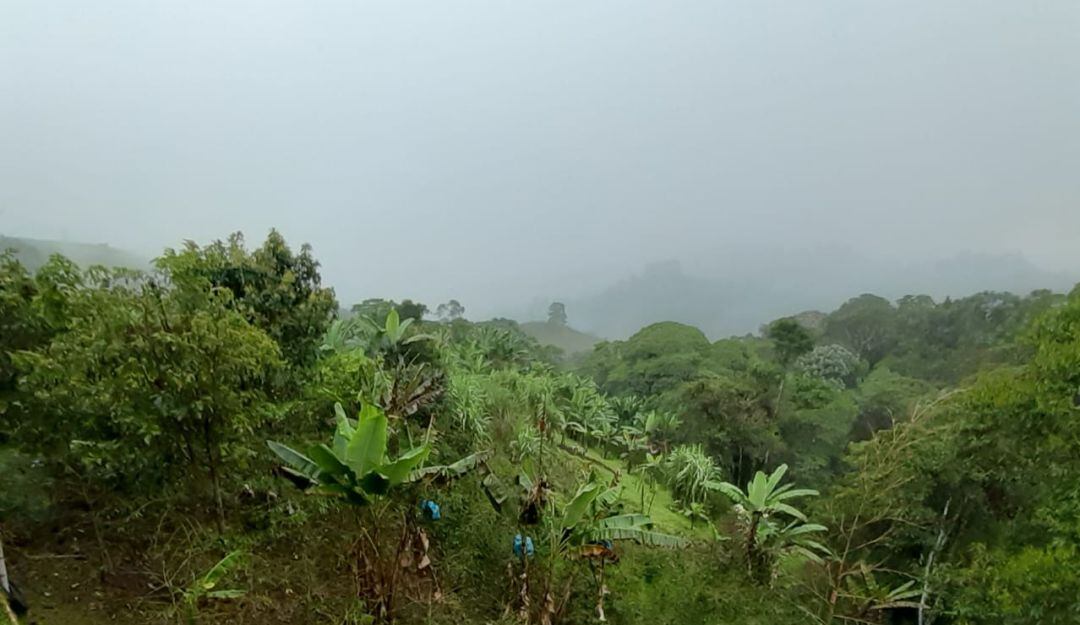 El Quindío amanece con lloviznas en diferentes sectores, desde el palacio de Barbas Bremen en Filandia