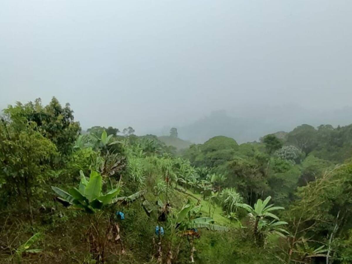 Las noticias más importantes de Armenia y el Quindío, miércoles 22 de julio