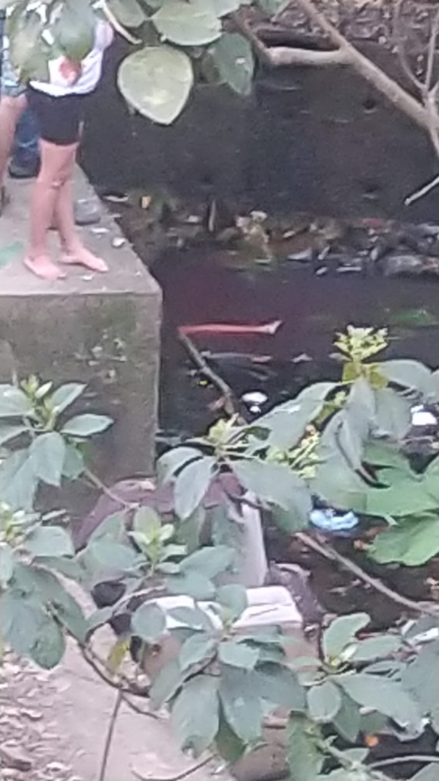 Dos personas fueron asesinadas en Floridablanca