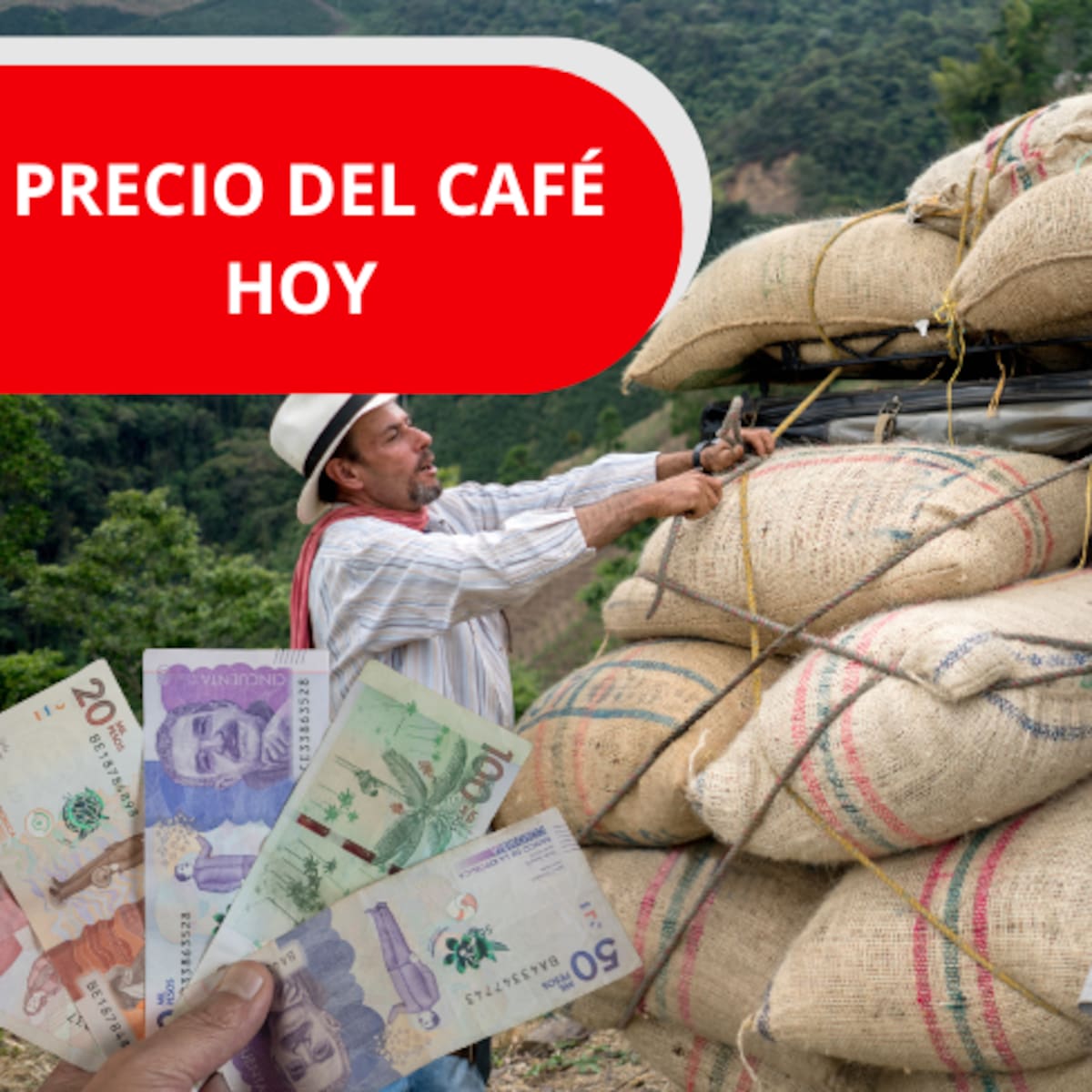 Precio del café en Colombia HOY 23 de abril de 2026: FNC reporta aumento en las cotizaciones