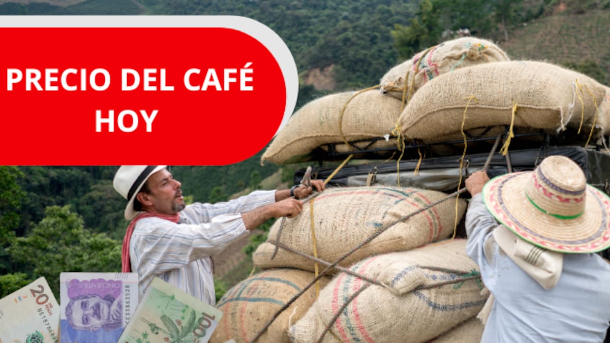 Precio del café en Colombia HOY 23 de abril de 2026: FNC reporta aumento en las cotizaciones