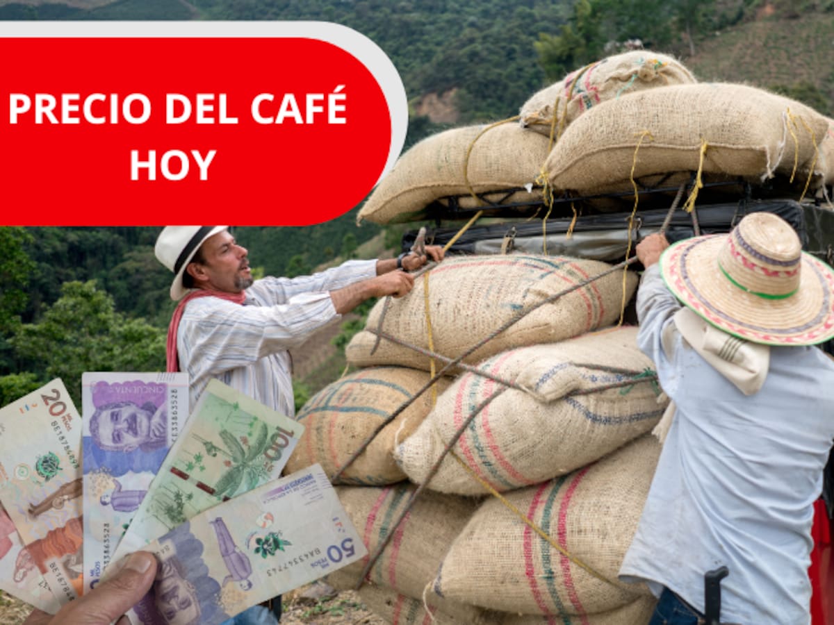 Precio del café en Colombia HOY 23 de abril de 2026: FNC reporta aumento en las cotizaciones