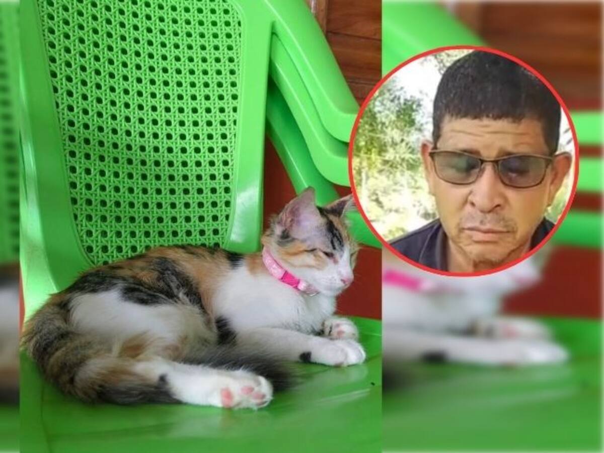 Fiscalía judicializa a agresor de la gata Alana, pero juez impone medida no privativa de la libertad