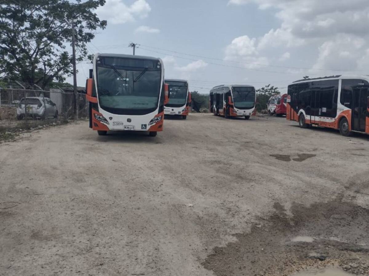 Crisis de Transcaribe podría generar despidos: conductores