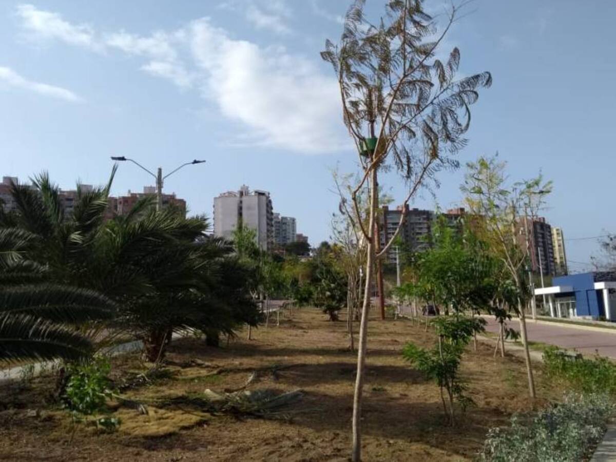 Siembran más de 5.000 árboles en los Juegos Centroamericanos