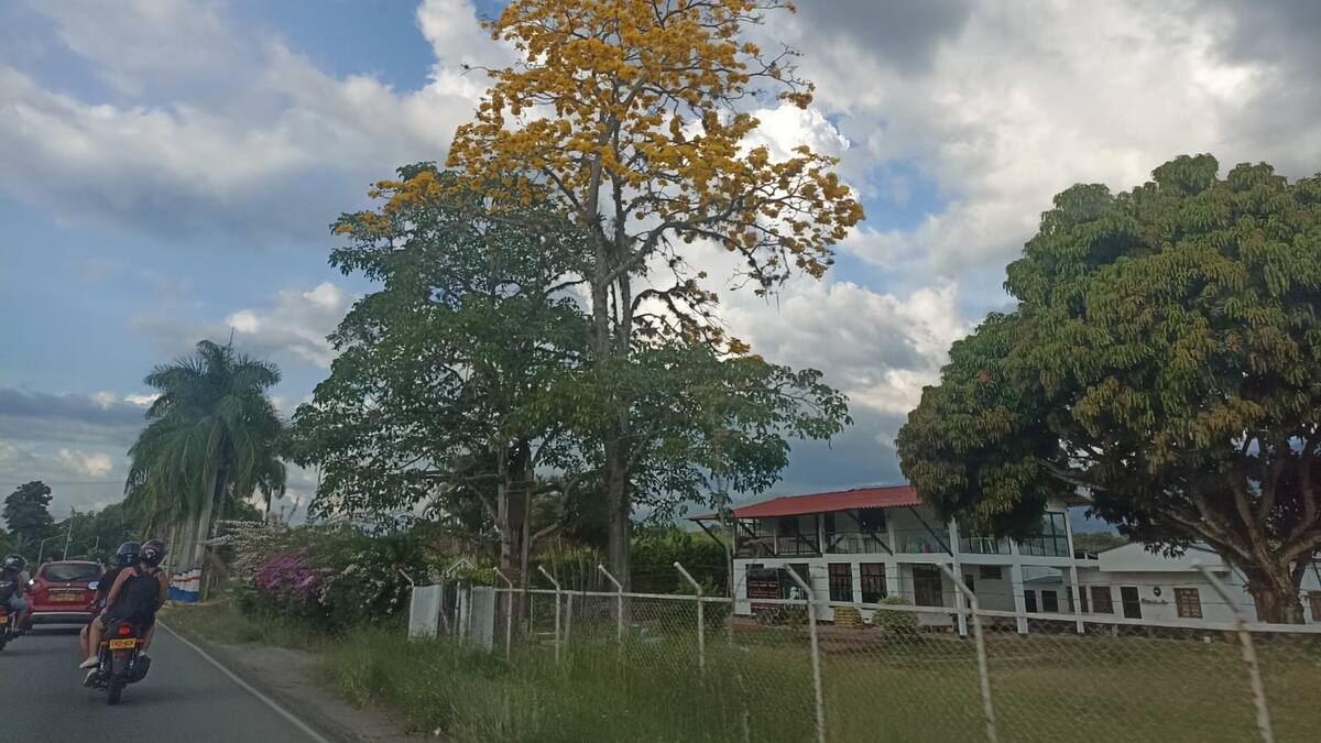 Martes 20 de febrero, las noticias más importantes de Armenia y Quindío