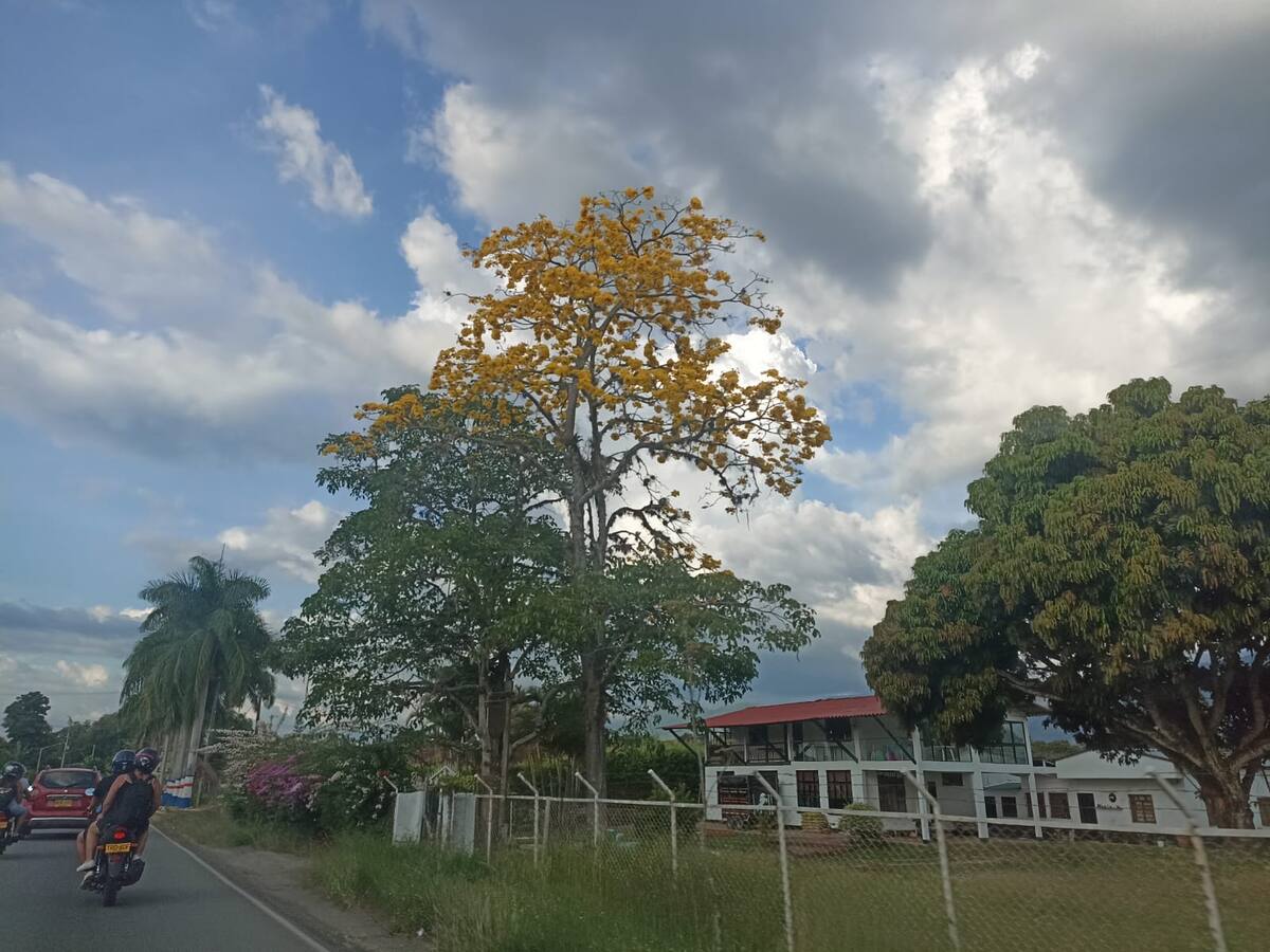 Martes 20 de febrero, las noticias más importantes de Armenia y Quindío