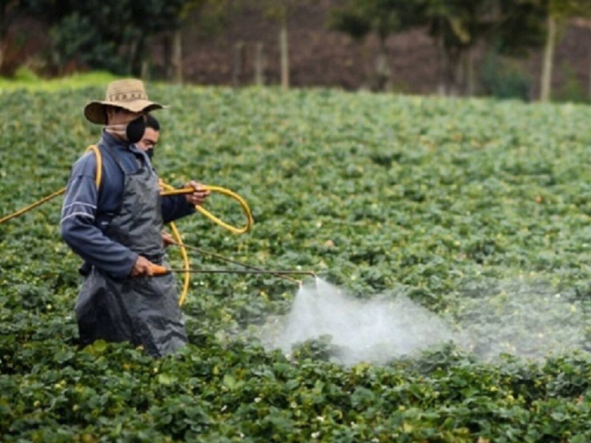 Corte asume conocimiento de tutelas que seleccionó sobre glifosato