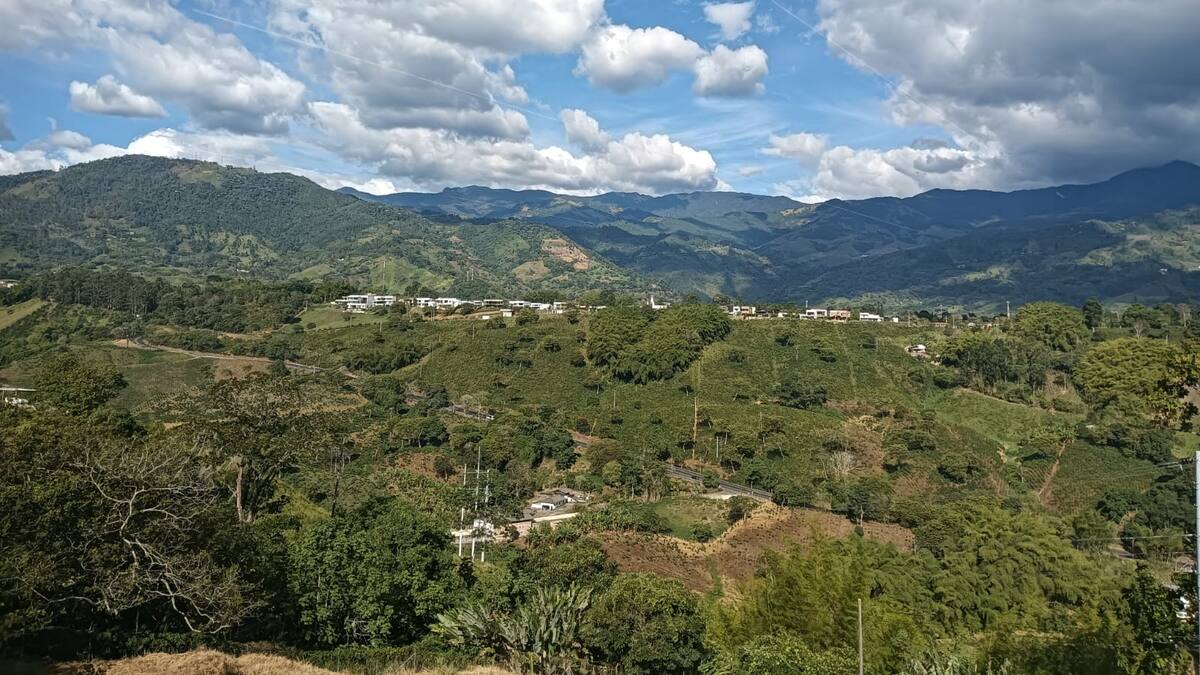 Miércoles 15 de julio, las noticias más importantes de Armenia y Quindío