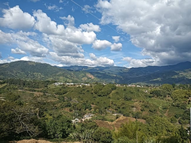 Los hermosos paisajes del Quindío en días de cielo azul y sol radianteFoto: Adrián Trejos