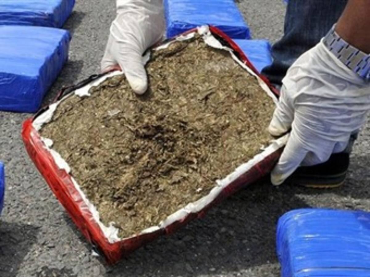Decomisan tres toneladas de marihuana en Caldas