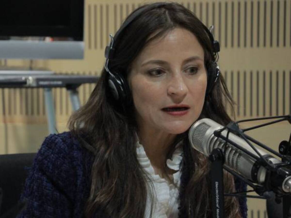 Trump intenta desandar el camino de la corresponsabilidad frente a las drogas: Sylvie Duchamp