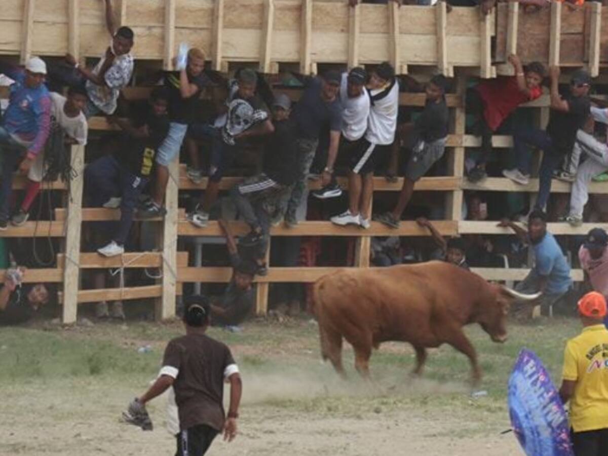 63 personas resultaron heridas en medio de las corralejas de Caucasia, Antioquia