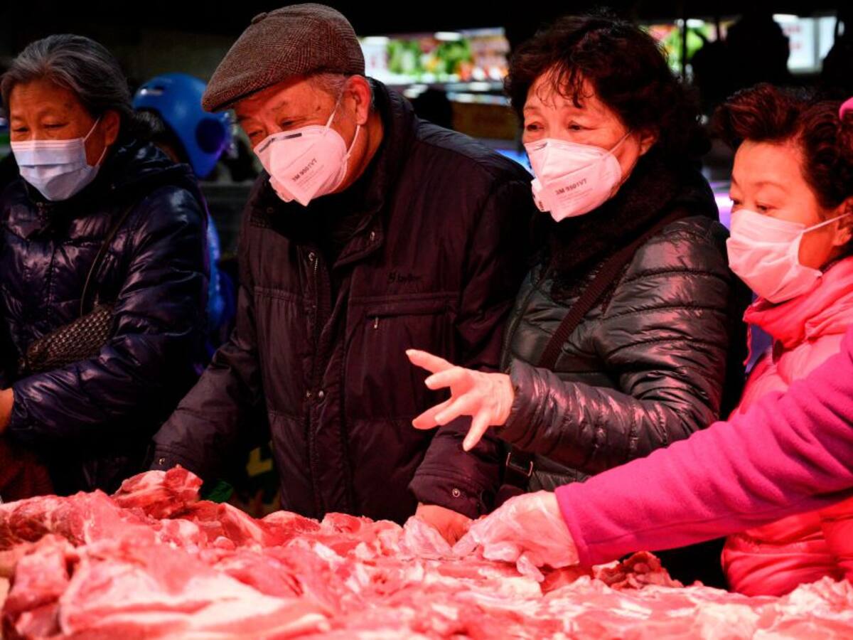 China prohíbe el comercio y consumo de animales salvajes