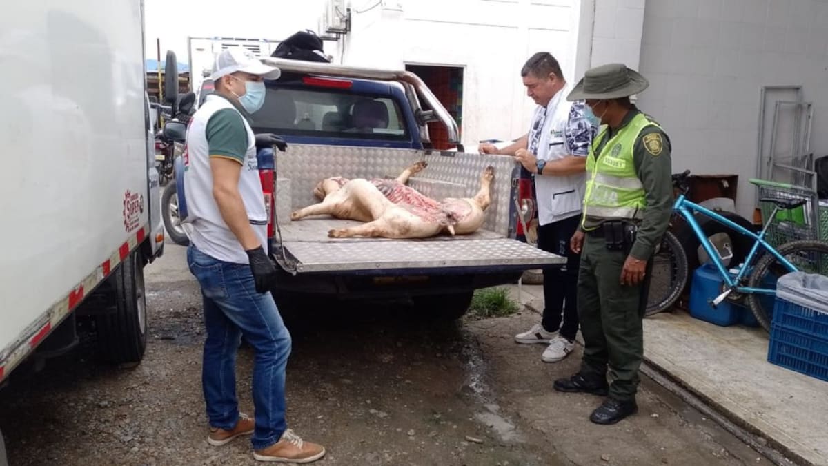 Decomisan carne de cerdo en Neiva