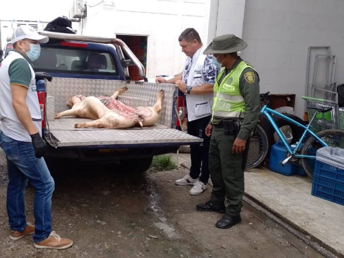 Decomisan carne de cerdo en Neiva