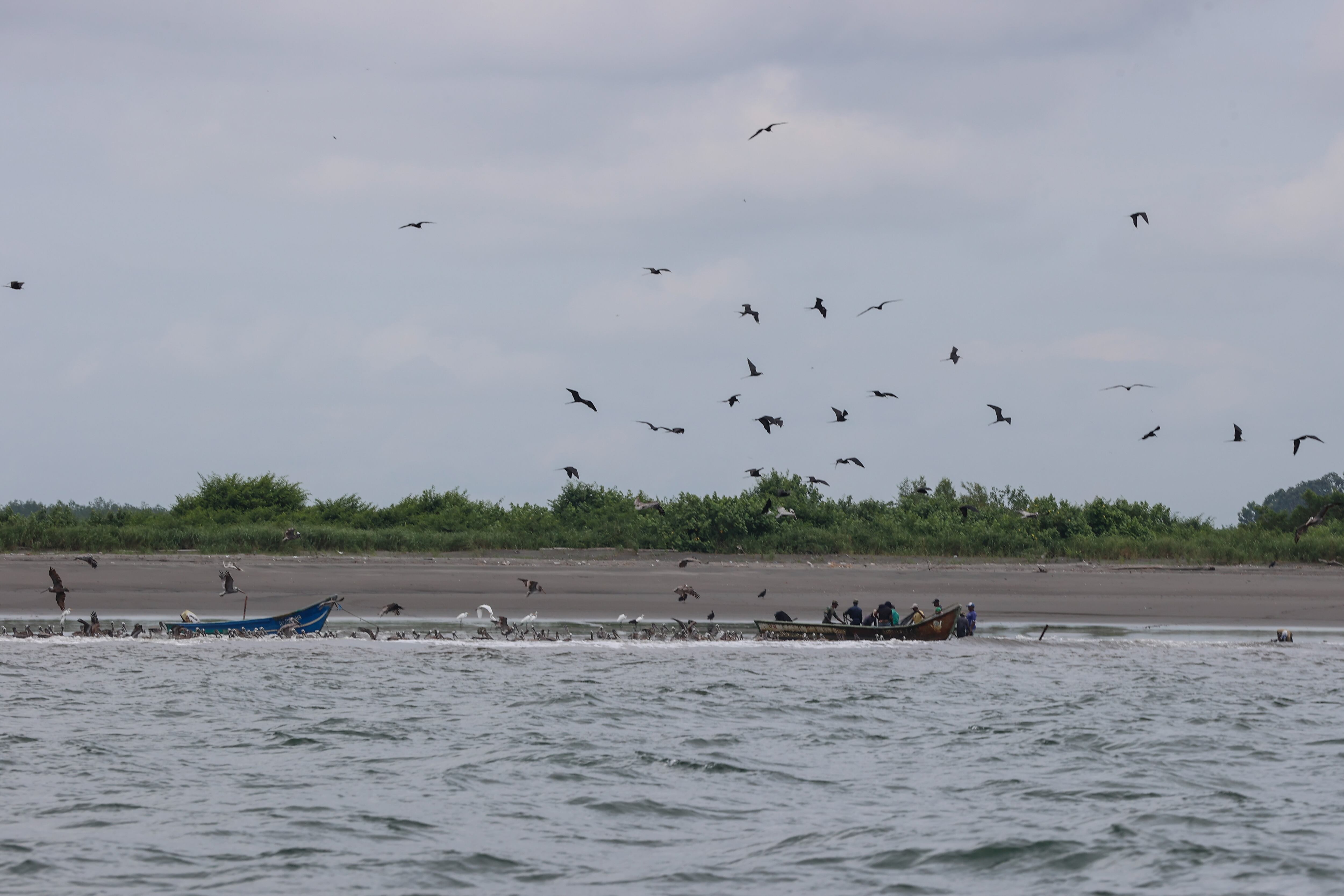 Photo by Juancho Torres/Anadolu via Getty Images
