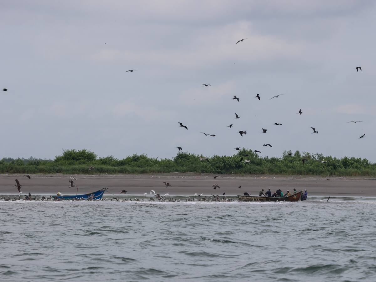 Tumaco: una tierra llena de talento, moda y raíces ancestrales