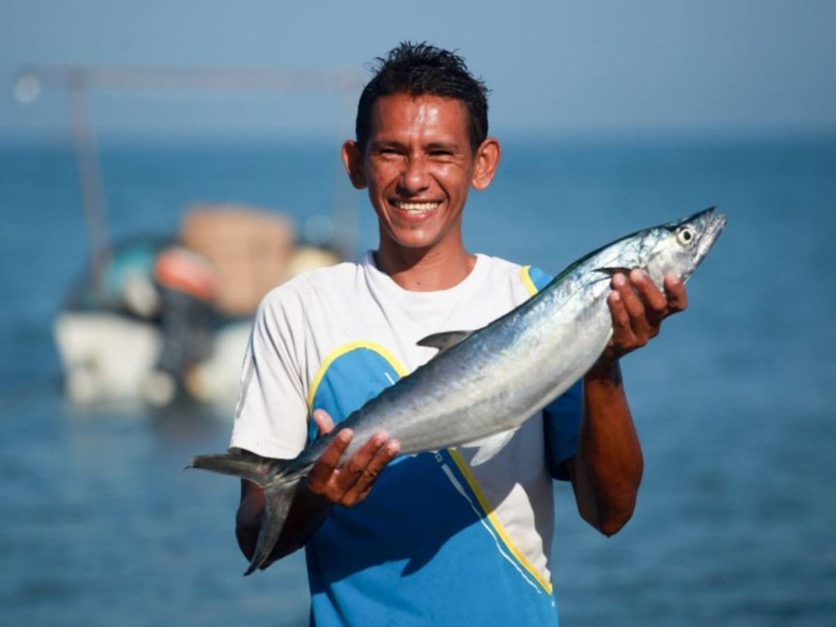 Santa Marta posiciona la pesca local con el festival un 'Mar de sabrosura'