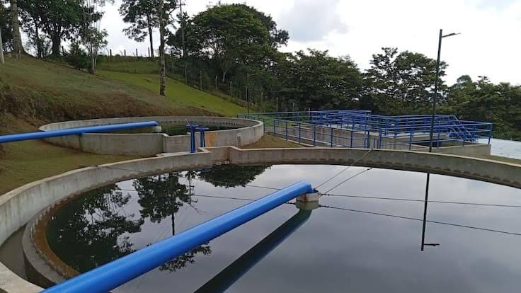 Director comité de cafeteros sobre racionamiento