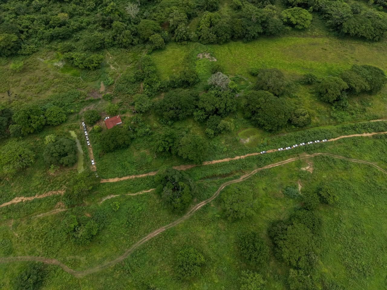 Agencia Nacional de Tierras anuncia la entrega de más de 1.560 hectáreas en Pueblo Nuevo, Córdoba. Foto: prensa ANT.
