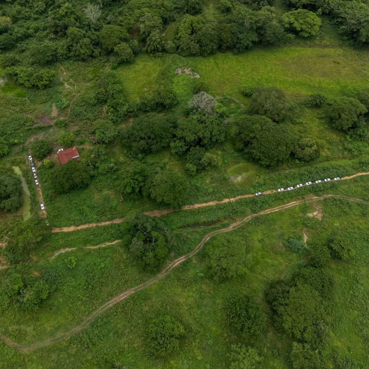 Agencia Nacional de Tierras anuncia la entrega de más de 1.560 hectáreas en Pueblo Nuevo, Córdoba