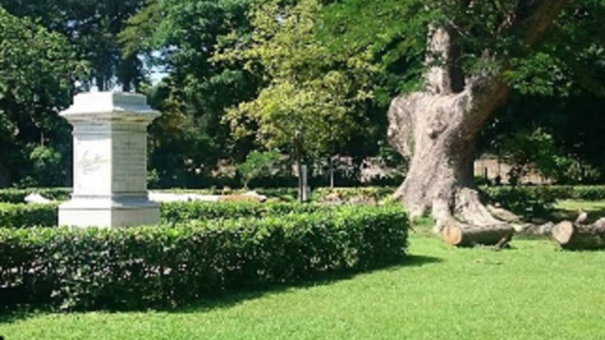 Develarán escultura de Bolívar en la Quinta de San Pedro Alejandrino
