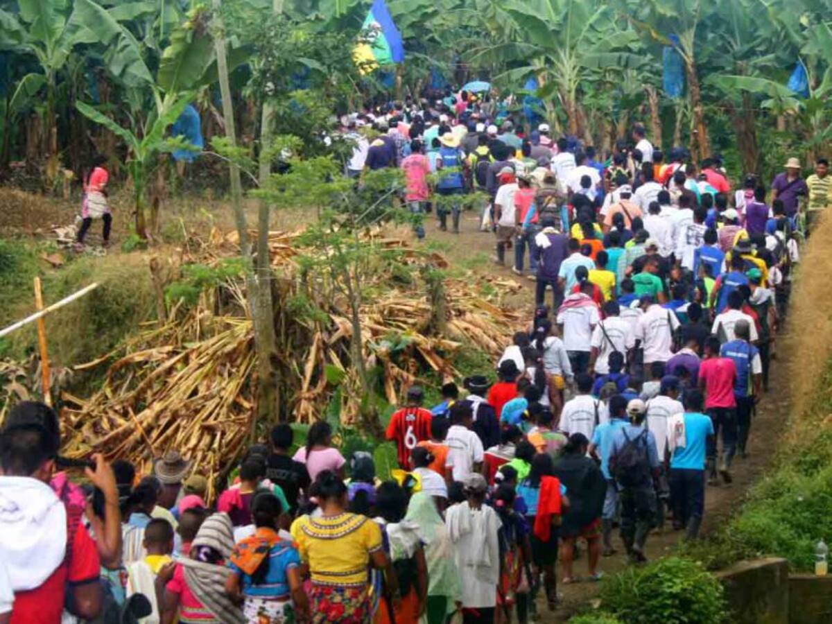 No para el desplazamiento de campesinos en el bajo Cauca