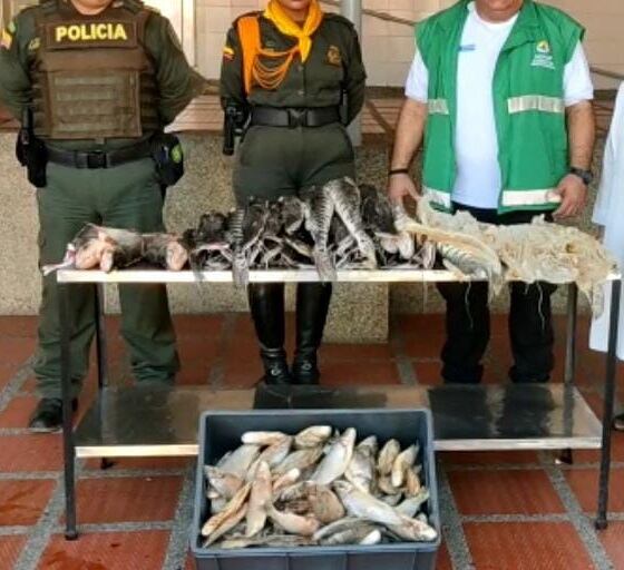 Cortesía Policía de Barranquilla