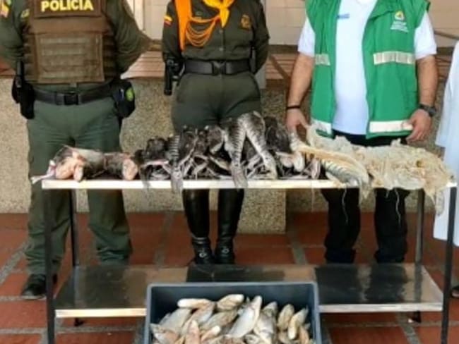 Cortesía Policía de Barranquilla