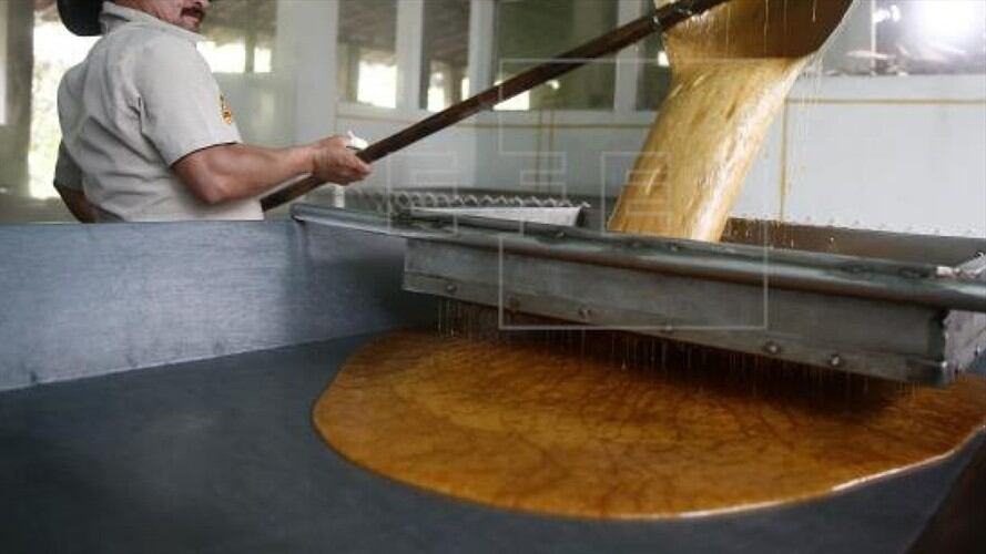 Trapiche panelero. Foto: Agencia EFE