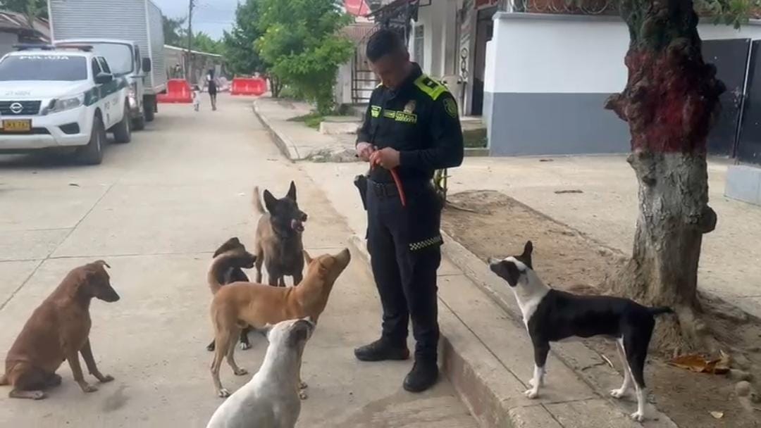 Departamento de Policía Bolívar