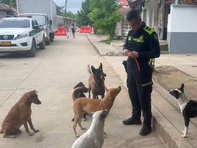 Departamento de Policía Bolívar