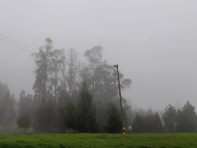 Alternativas para evitar mayor daño en los cultivos a causa de las heladas