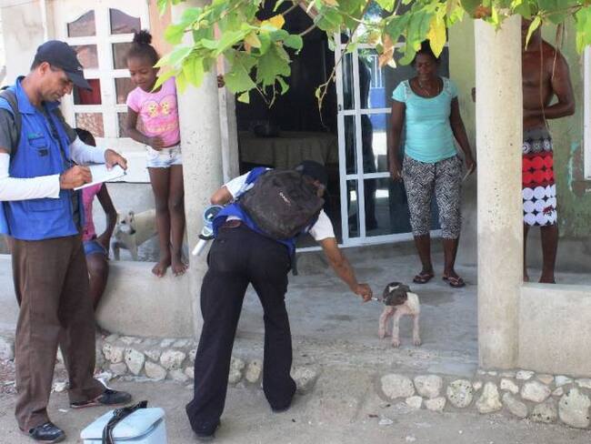 Vacunados más de 90 mil perros y gatos en Cartagena