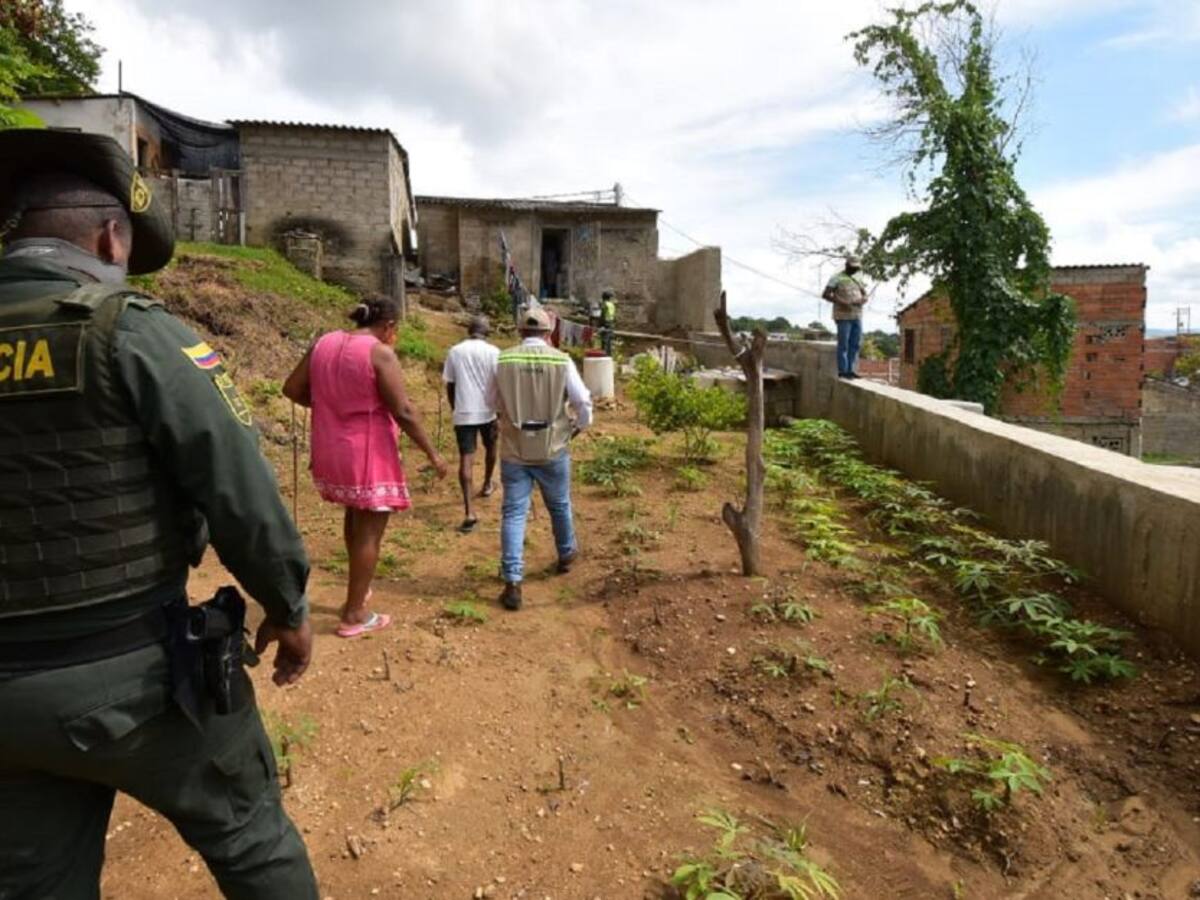 Nuevas invasiones en el cerro de la Popa en Cartagena