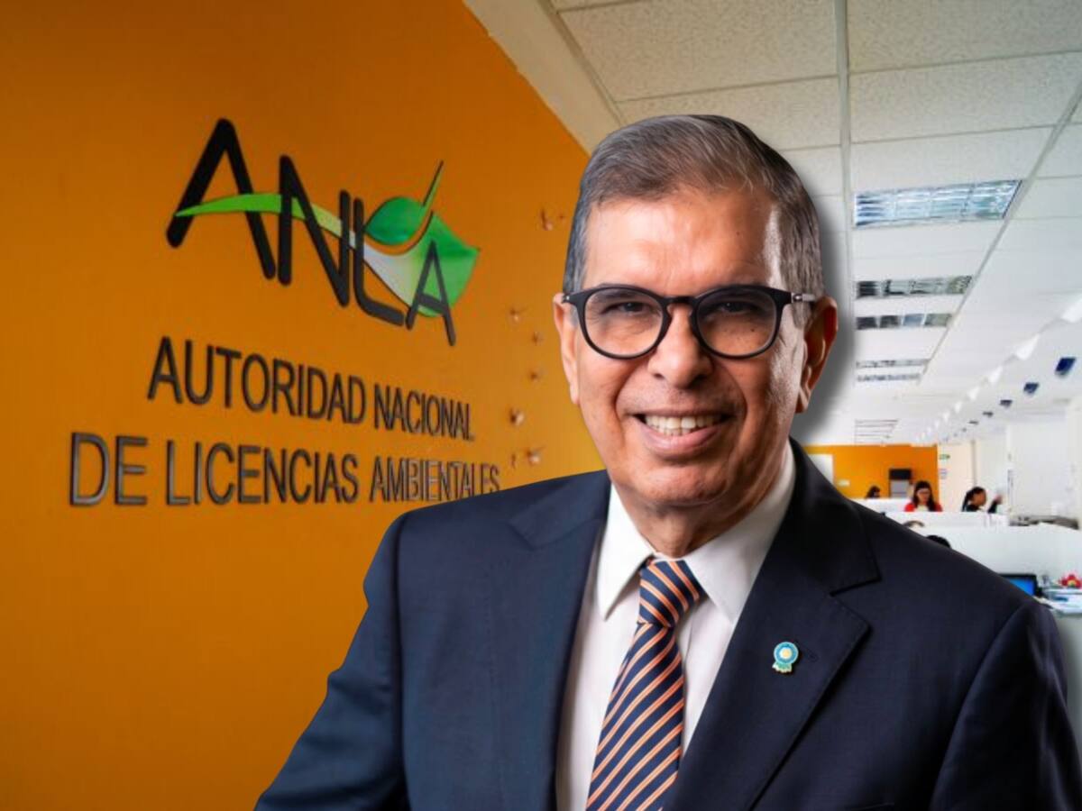 MinAmbiente designado descarta acabar con la ANLA, pero pide que no se use para frenar proyectos