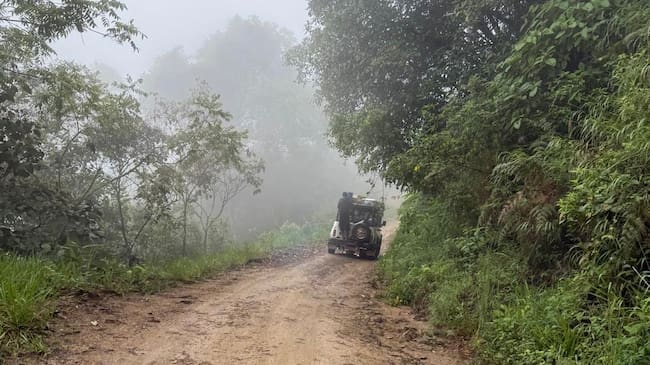 Ramal en vereda del Tolima. Algunas personas en zonas rurales dispersas suelen requerir horas de desplazamiento hasta llegar a una cabecera municipal, significa caminar por horas, uso de acémilas, o ayuda de terceros. | Foto: Salud Rural Para la Paz