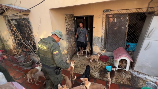 Gobernación de Bolívar