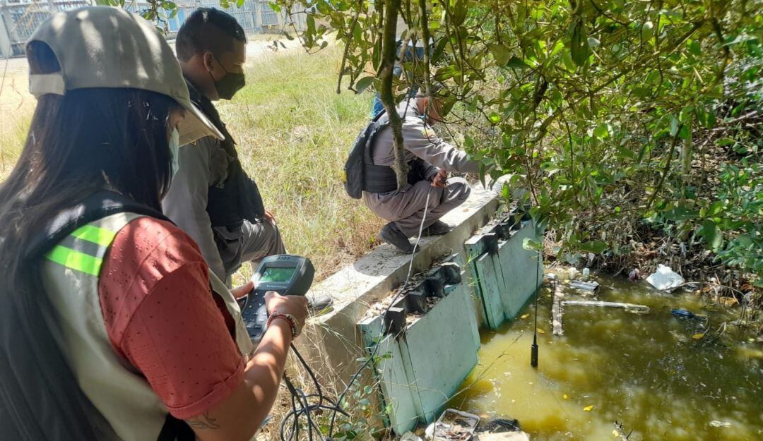 La Guardia Ambiental inspecciona varios cuerpos de agua en esos sectores para determinar la muerte de centenares de peces
