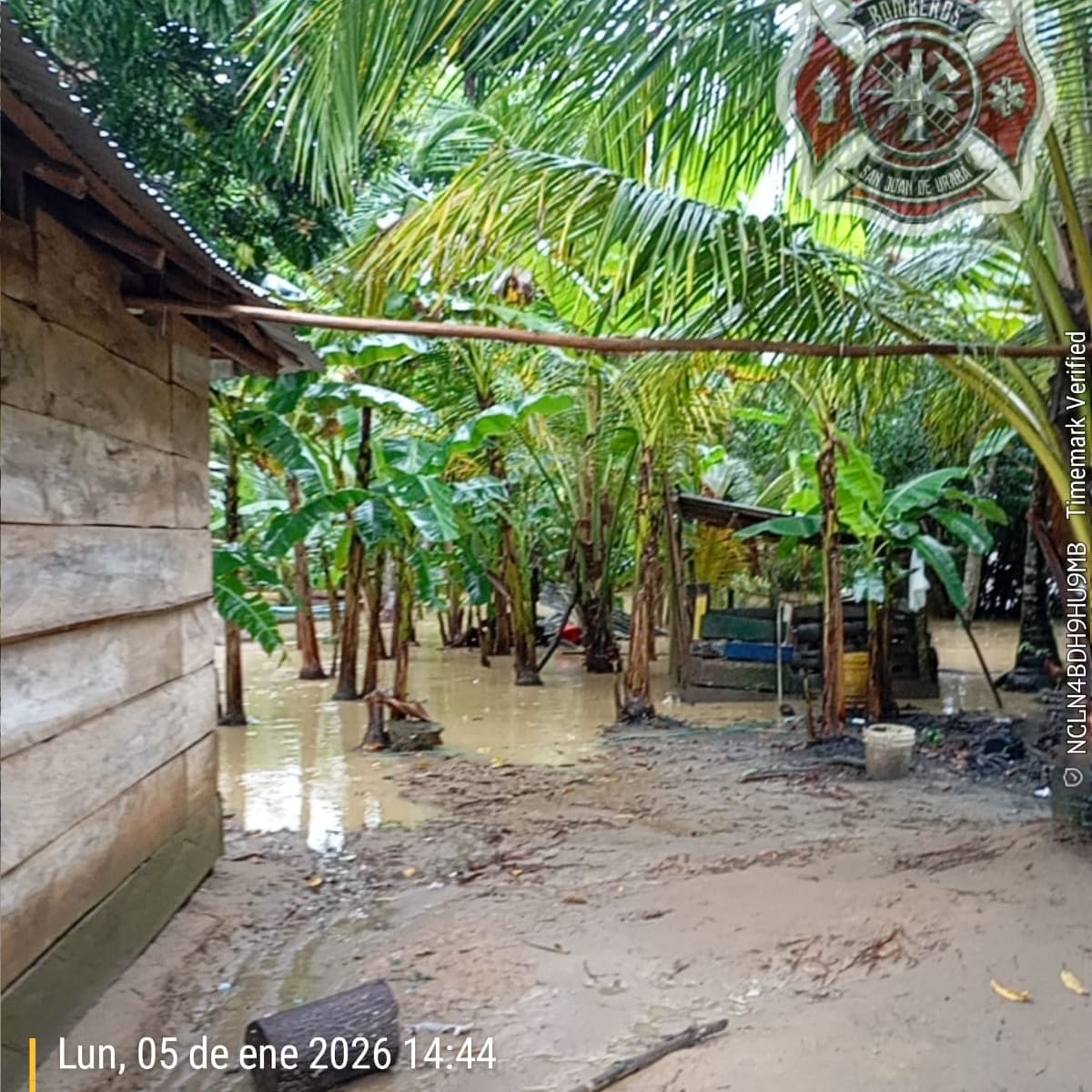Al menos 12 veredas están inundadas en Necoclí por desbordamiento del río Mulatos