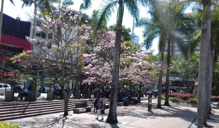 Escuche la información local en Caracol Radio, todos los días 5:45, 6:48, 7:48 y 8:45 a.m.