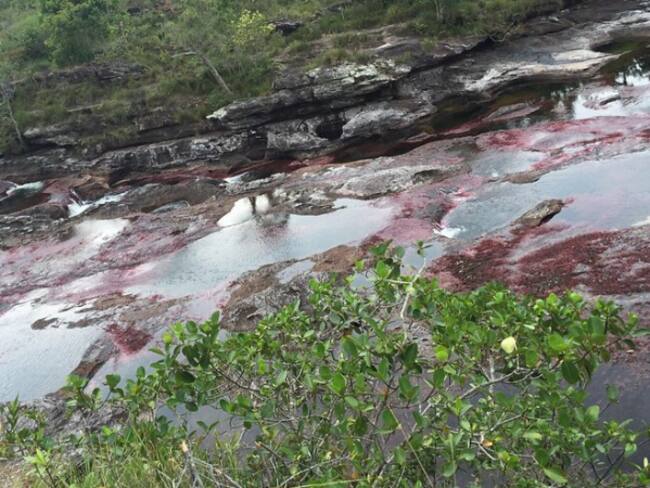 Denuncian licencia para explotación petrolera cerca de Caño Cristales