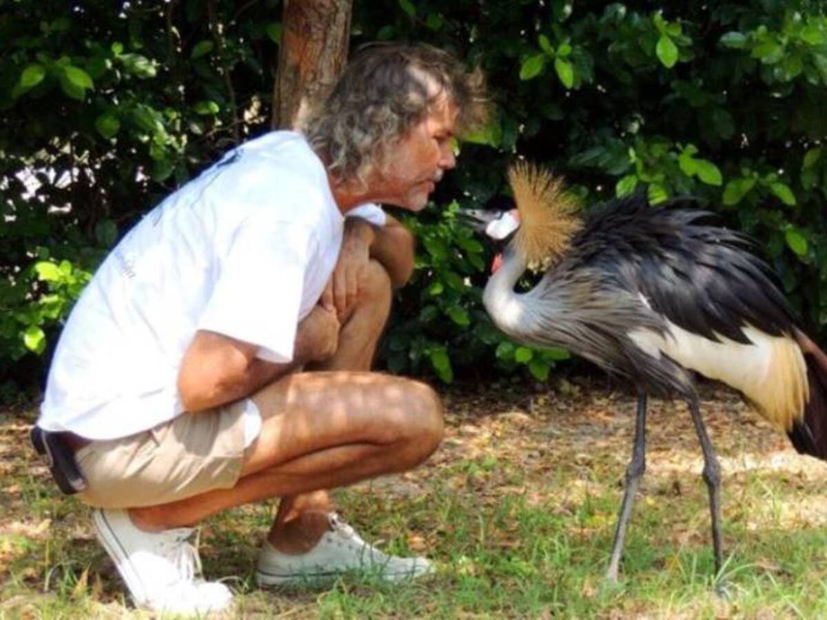 Cartagena con el aviario más grande de todo el continente americano